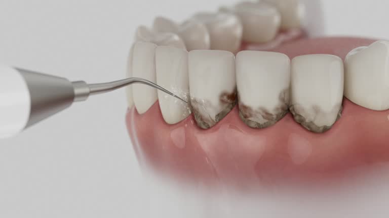 Reliable Dental contractor in Dauphin Island, AL by Dentist Open Now